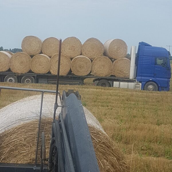 utovar i transport slame